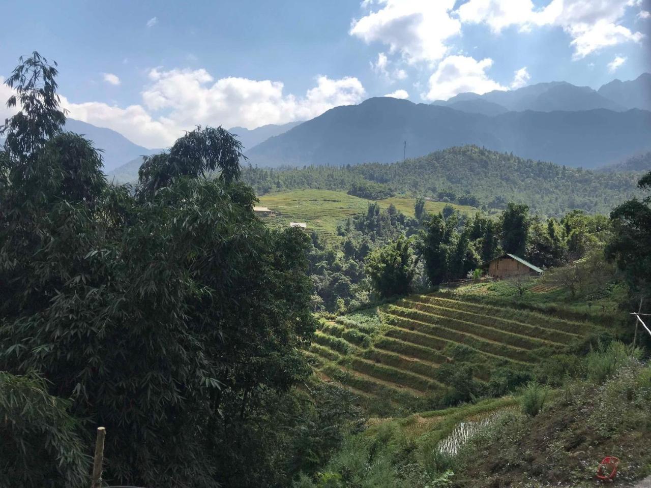 Chapi Homestay Шапа Экстерьер фото